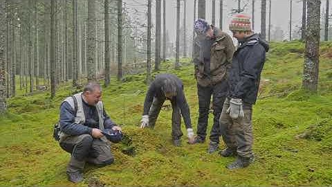 ALTERFOR Film VI: Demonstration site “ASA” (Sweden, 2020)