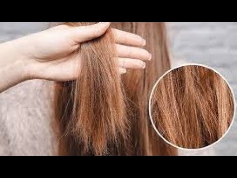 وصفة سهلة وطبيعية لاصلاح الشعر التالف وتغذيته
