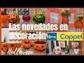 🍁RECORRIDO/BUSCANDO la decoración de otoño/Mira lo que encontré 🤗