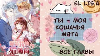 картинка: Озвучка манги | Ты - моя кошачья мята | 1 - 54 | ВСЕ ГЛАВЫ | КОНЕЦ