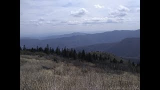 MAPLE CAMP BALD HIKE FROM MT MITCHELL