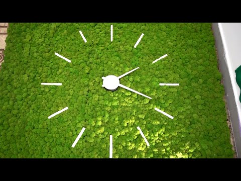 Декор из мха: