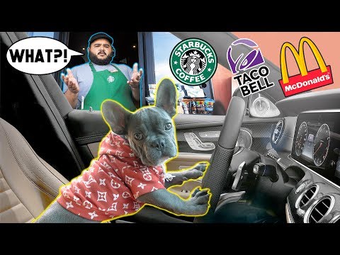 puppy-drive-thru-prank!-**funny-challenge**-|-the-royalty-family