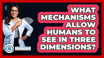 What Mechanisms Allow Humans To See In Three Dimensions?