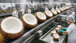 Inside the Factory: How Coconuts Become Coconut Milk (Full Process) Inside The Factory How Coconuts Become Creamy Coconut Milk Full Process