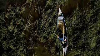 Wild Rice Season to Open for 2026