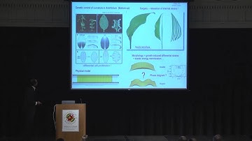 L. Mahadevan - On Growth and Form: A Physical Basis for Morphogenesis