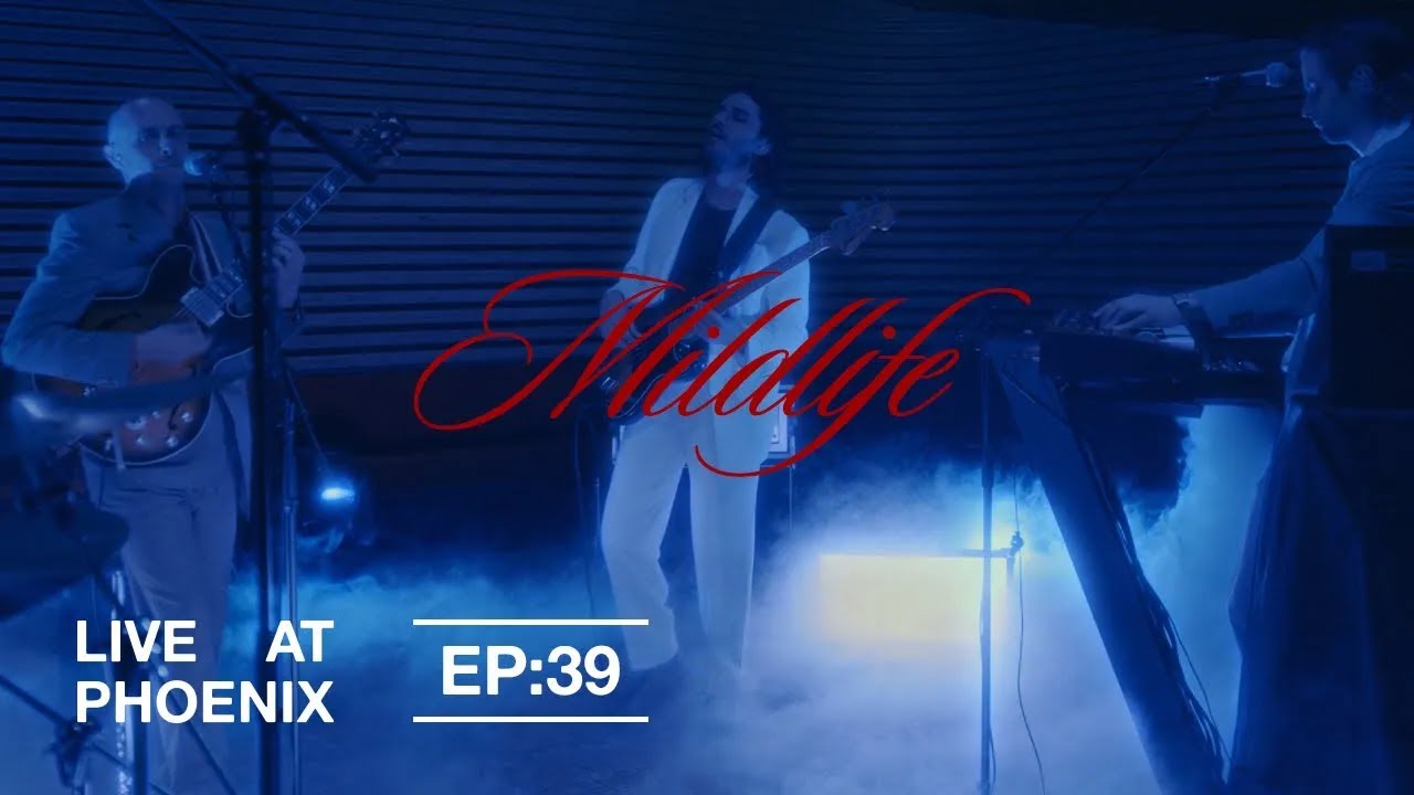 Assista a Mildlife — "Musica" | Live at Phoenix no YouTube Assista a Mildlife — "Musica" | Live at Phoenix no YouTube