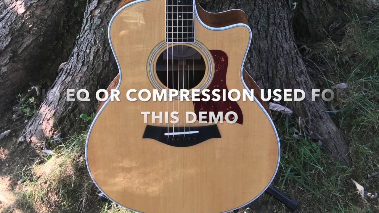 TAYLOR 416ce 2015 - audio demo