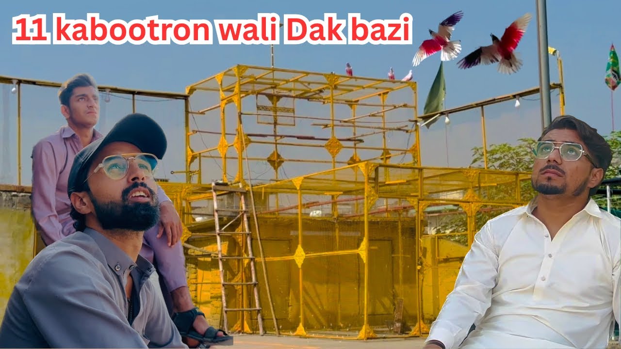 11 kabootaron wali Dak bazi 😱 | Dar pigeons club | 