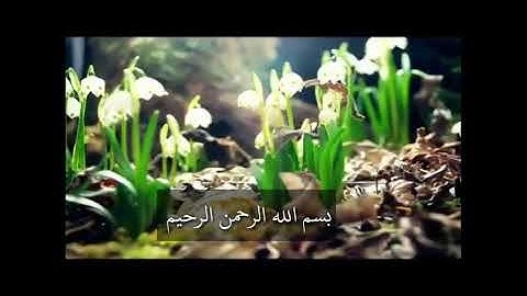 ما تيسر من سورة الجاثية تلاوة رائعة