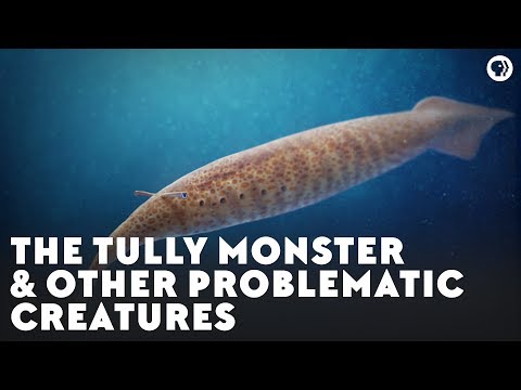 The Tully Monster & Other Problematic Creatures