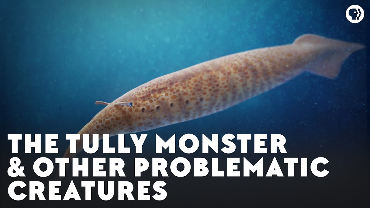 ⁣The Tully Monster & Other Problematic Creatures