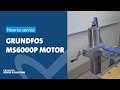 How to service Grundfos MS6000P motor