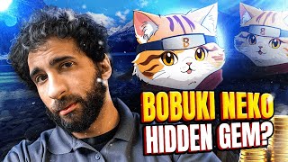 LEGENDARY! 🔥 Bobuki Neko 🔥 EMBRACE THE CAT HERO!