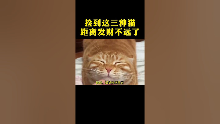 如果你在路上撿到這三種貓，那距離發財就不遠啦#科普  #科普一下  #有趣的知識又增長了   #鏟屎官的樂趣  #貓咪