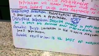 Biology Chapter 16 Homework