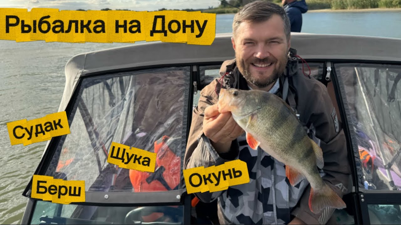 Рыбалка на Дону в сентябре. Наконец-то хищник активизировался.
