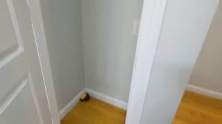 Wonderful 2 Beds 1 Bath - Boston - East Boston - Maverick