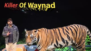 Killer Of Waynad । Man Eater Tiger Hunting Story । Kenneth Anderson Hunting Stories । Shikar Tales