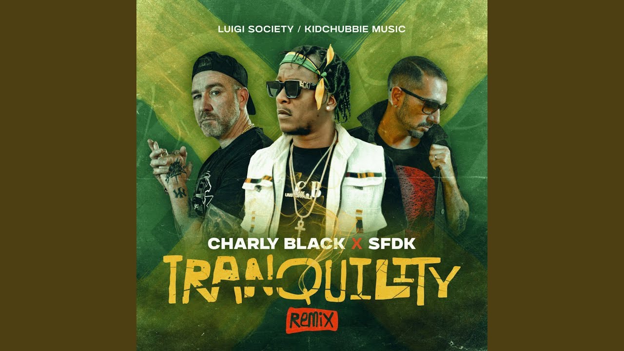 Watch Tranquility (Remix) on YouTube Watch Tranquility (Remix) on YouTube
