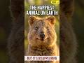 The Smiling Animal With a Hard Survival Story