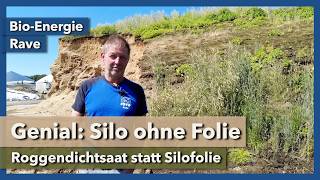 Genial: Silo ohne Folie - Roggendichtsaat statt Silofolie | Bio-Energie Rave | 2025 | Teil 1