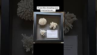 Turning Memories Into Art – Custom Framing That Lasts Turning Memories Into Art – Custom Framing That Lasts