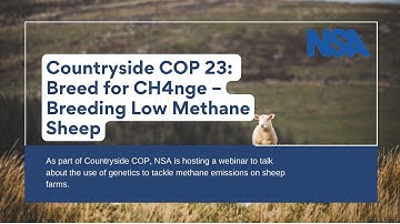 Countryside COP: Breed for CH4nge – Breeding Low Methane Sheep - NSA