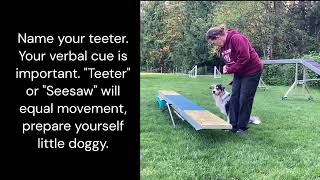 Teeter Training  Help for Worried Dogs and the Teeter Bang Game L1