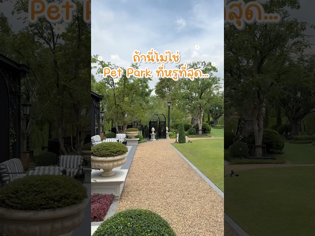 Pet Park สุดหรู