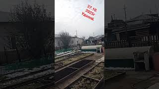 По совести или честно?