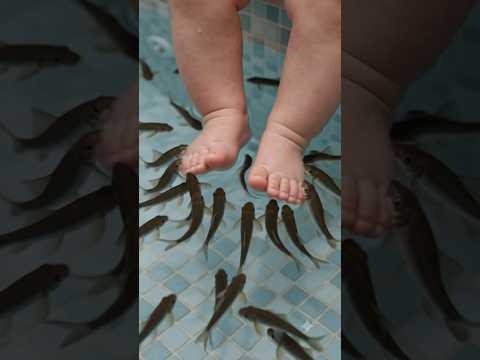 baby #baby #babyshorts