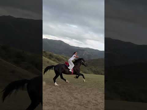 The Craziest Horse Ride Ever !! #horseriding