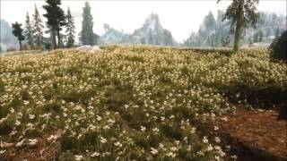 BrightShadow -Tasla Field