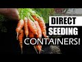 Direct Seeded Container Crops - Garden Quickie Episode 45