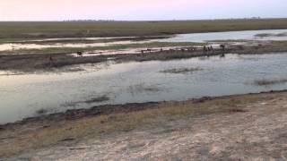 Africa 2013 101