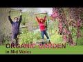 A year in our organic garden in 8 minutes