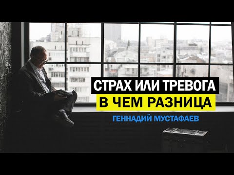 Видео: Разговори за страх, смелост и промъкване в шоу с пистолети - Matador Network