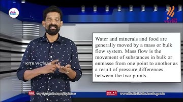 First Bell 2.0 Plus One Botany Class 41