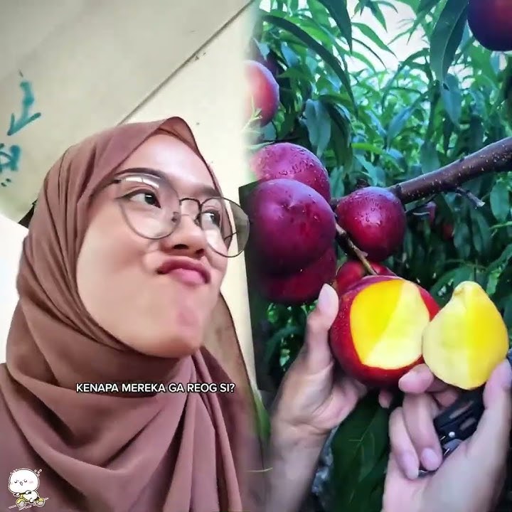 #fyp#pov#drama#sekolah#guru#murid#muriddanguru#siswa#auress#2000s