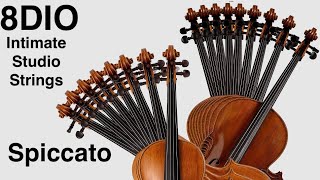 Intimate Studio Strings by 8Dio - Demo of all the presets: Traditional Spiccato Solos (2022)