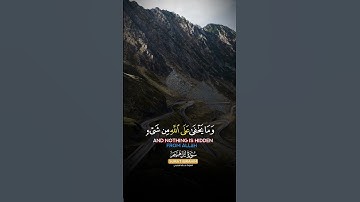 قران كريم راحة نفسية 💚 #قرآن #quran #خالد_الجليل #قران_كريم #تلاوة_خاشعة #راحة_نفسية #القرآن_الكريم