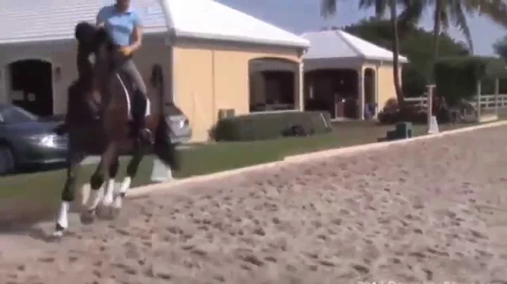 DressageClinic.c...  Presents Steffen Peters Assis...