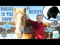 Horses and a Bunny in the Snow! | Crazy8Family