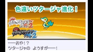 色日記 色違いツタージャが進化 ポケモンbw2 Youtube 色日記 色違いツタージャが進化 ポケモンbw2 Youtube