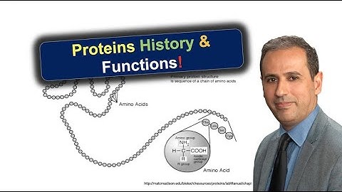 Unlock the Secrets of Proteins 🔍 | From Ancient Origins to Life-Saving Functions