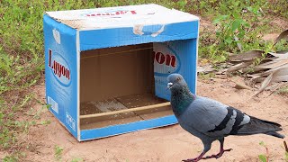 Easy Pigeon Trap Make From Cardboard Box - Simple Unique Pigeon Trap