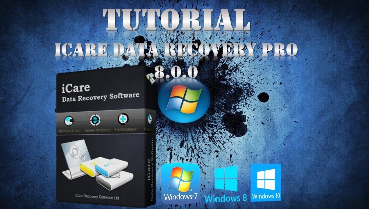 paretologic data recovery pro 1.1 license key