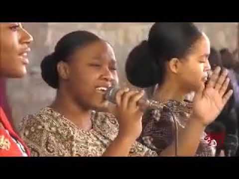 De Nouvelles Choses Sont Déclarées Sofia Shepherd